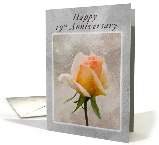 Happy 19th Anniversary, Fresh Rose on a Textured Background card