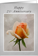 Happy 21st Anniversary, Fresh Rose on a Textured Background card