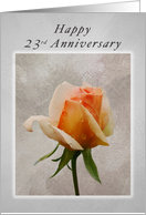 Happy 23rd Anniversary, Fresh Rose on a Textured Background card