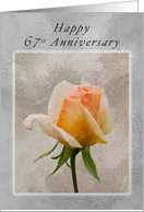 Happy 67th Anniversary, Fresh Rose on a Textured Background card