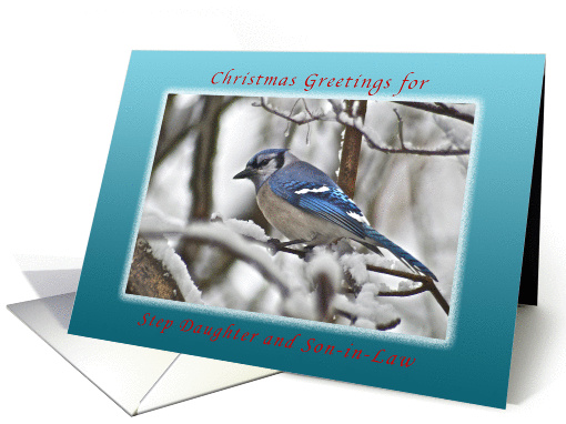 Christmas Greetings, Bluejay in Snow , Step Daughter and... (1164830)