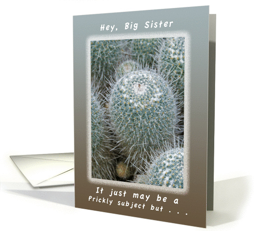 Another Birthday a Prickly Subject for a Big Sister card (1167864)