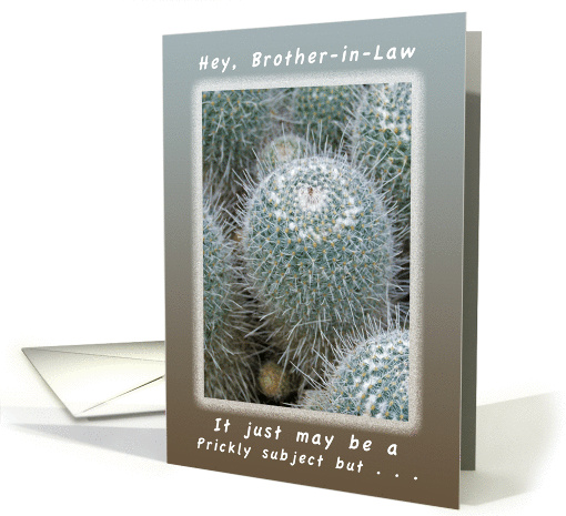 Another Birthday a Prickly Subject for a Brother-in-Law card (1167866)