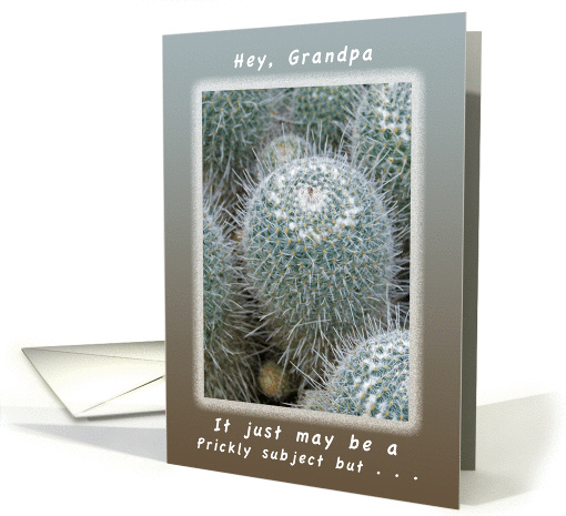 Another Birthday a Prickly Subject for a Grandpa / Grandfather card