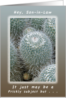 Another Birthday a Prickly Subject for a Son-in-Law card