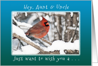 Hey, Aunt and Uncle, Wish you Merry Christmas & New Year card