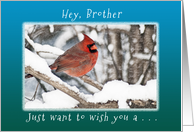 Hey, Brother, Wish you Merry Christmas & New Year card