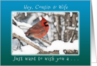 Hey, Cousin and Wife, Wish you Merry Christmas & New Year card