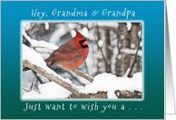 Hey, Grandma & Grandpa, Wish you Merry Christmas & New Year card