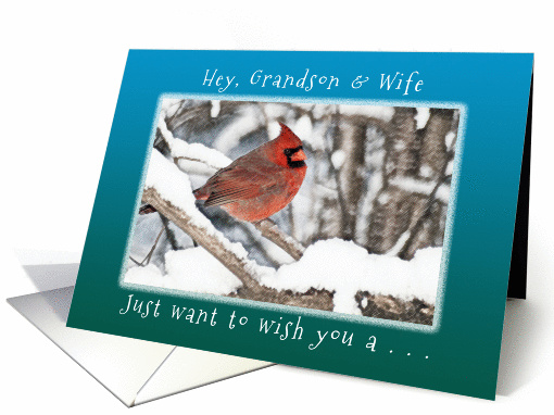 Hey, Grandson & Wife, Wish you Merry Christmas & New Year card