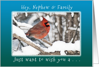 Hey, Nephew and Family, Wish you Merry Christmas & New Year card