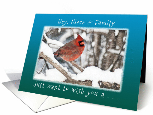 Hey, Niece and Family, Wish you Merry Christmas & New Year card