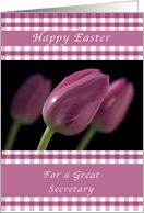 Happy Easter, Purple...