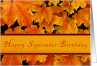Happy September Birthday,Colorful Autumn Maple Leaves. card