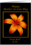 Happy Mother-in-Law Day from Both of Us, Orange Day Lily card