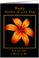 Happy Mother-in-Law Day, You are like a Mom to Me, Orange Day Lily card