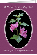 Happy Mother-in-Law Day, From Your Daughter-in-Law, Rose of Sharon card
