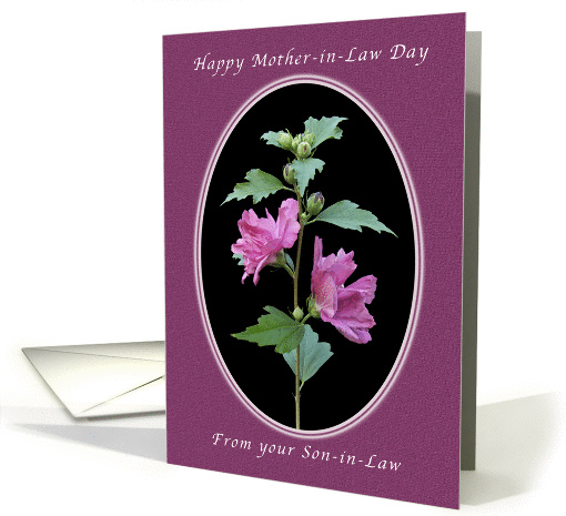 Happy Mother-in-Law Day, From Your Son-in-Law, Rose of Sharon card