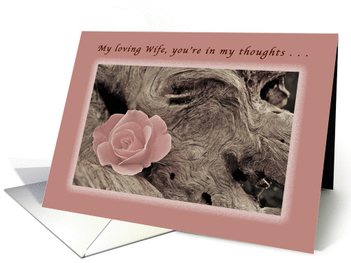 My loving Wife, You're in My Thoughts, Pink Rose and Driftwood card