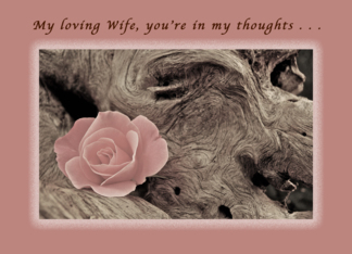 My loving Wife, You...