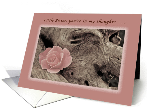 Little Sister, You're in My Thoughts, Pink Rose and Driftwood card