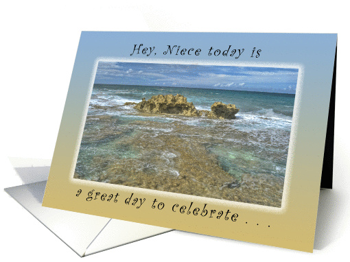 Hey, Niece, Today is a Great Day to Celebrate a Birthday card
