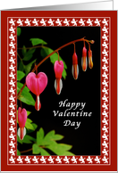 Happy Valentine Day,...
