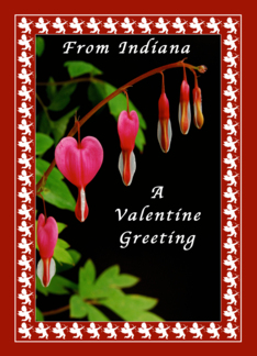 Happy Valentine Day From Indiana, Cupids & Bleeding Hearts