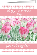 Happy Valentine Day for a Granddaughter, Pink Hearts and Tulips card