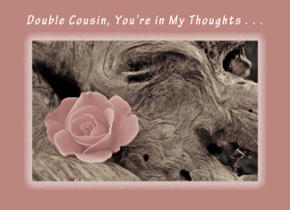 You're in my thoughts today, Double Cousin, Pink Rose on Driftwood