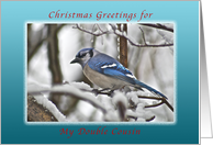 Christmas Greetings, Bluejay in Snow , Double Cousin card