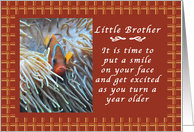 Happy Birthday to a Little Brother, Clown Fish with Gingham backdrop card