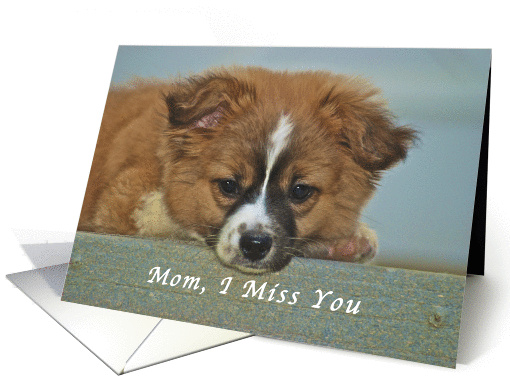 I Miss My Mom, cute Puppy with Lonely looking eyes card (1191636)