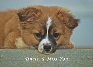 I Miss My Uncle,...