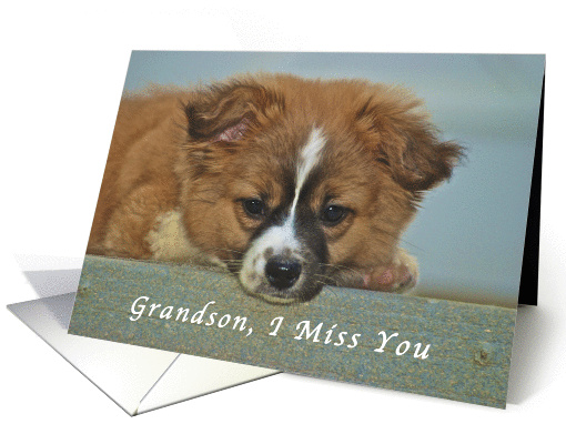 I Miss My Grandson, cute Puppy with Lonely looking eyes card (1191748)