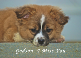 I Miss My Godson,...
