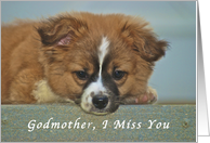 I Miss My Godmother, cute Puppy with Lonely looking eyes card