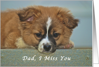 I Miss My Dad, cute...