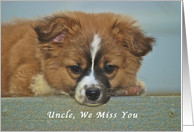 We Miss You Uncle, cute Puppy with Lonely looking eyes card