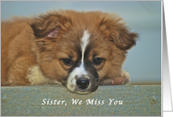 We Miss You Sister, Cute Puppy with Lonely Looking Eyes card