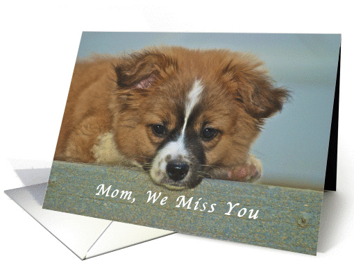 We Miss You Mom, Cute Puppy with Lonely Looking Eyes card (1192840)