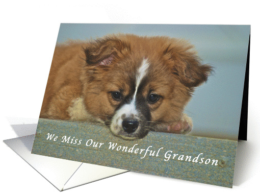 We Miss You Grandson, Cute Puppy with Lonely Looking Eyes card