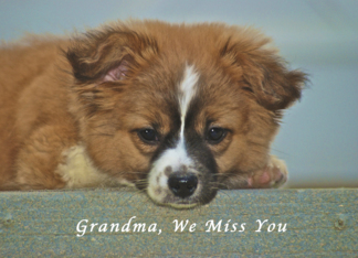 We Miss You Grandma,...