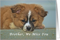 We Miss You Brother, Cute Puppy with Lonely Looking Eyes card