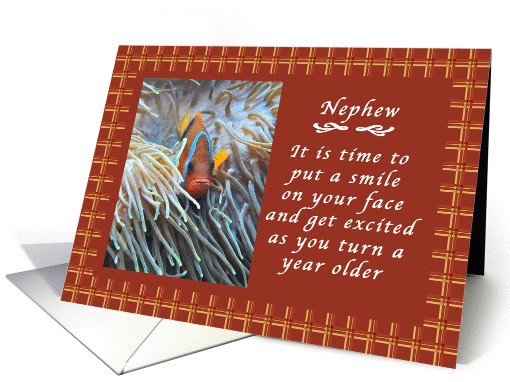 Happy Birthday to a Nephew, Clown Fish with Gingham backdrop card