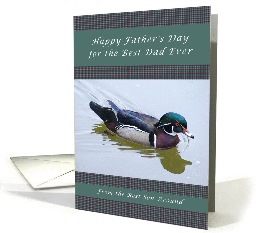 Happy Father's Day for the Best Dad from a Son, Wood Duck card