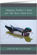 Happy Father’s Day for the Best Dad from a Son, Wood Duck card