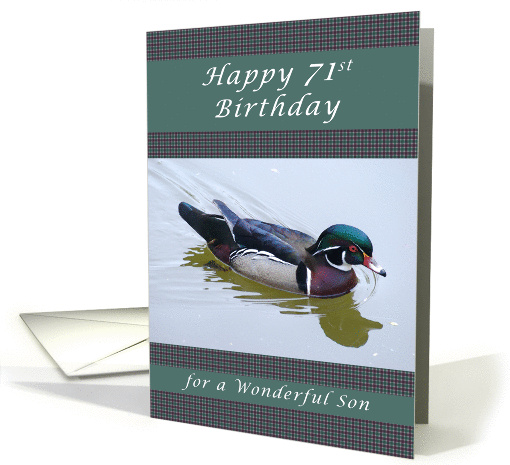 Happy 71st Birthday for a Son, Wood Duck and Gingham Background card