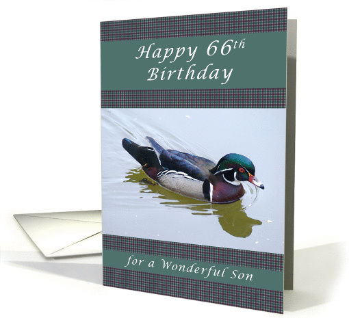 Happy 66th Birthday for a Son, Wood Duck and Gingham Background card