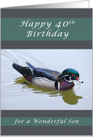 Happy 40th Birthday for a Son, Wood Duck and Gingham Background card